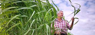 GETCO Agro Vision Limited