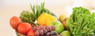 GETCO Agro Vision Limited